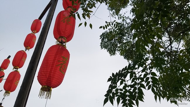 【A9s一機(jī)走天下】我們?cè)跓熡觊L(zhǎng)廊看花巷夜色