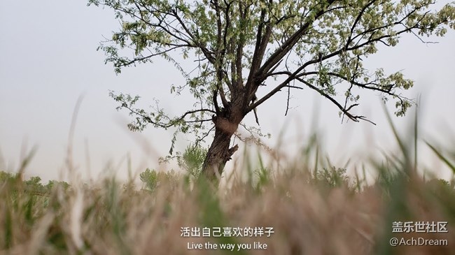 聽說快更新9.0，激動的發(fā)幾張9+拍的照片