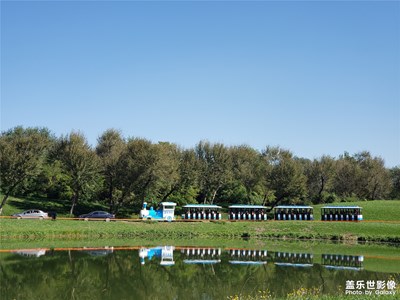 行走在野生動物園