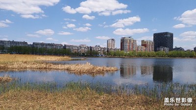 春末夏初的公園
