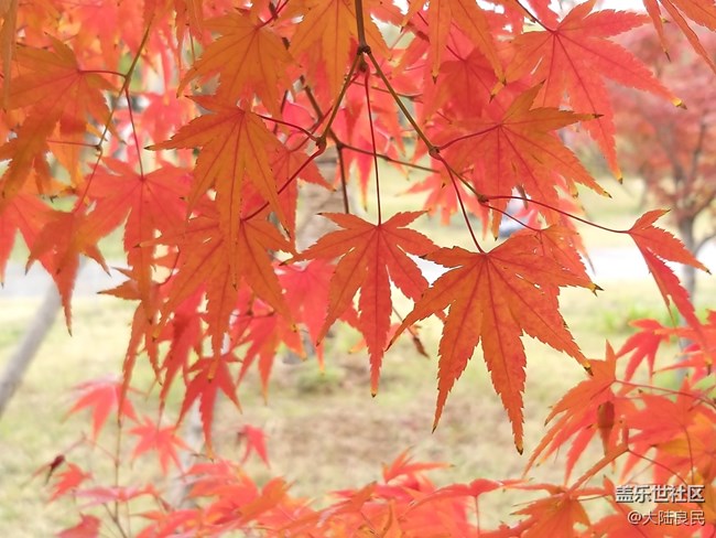 【A9s 一機走天下】鄭州站 龍門石窟實拍體驗