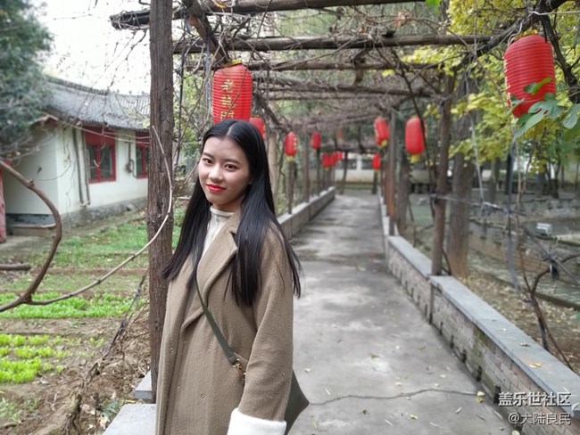 【A9s 一機走天下】鄭州站 龍門石窟實拍體驗