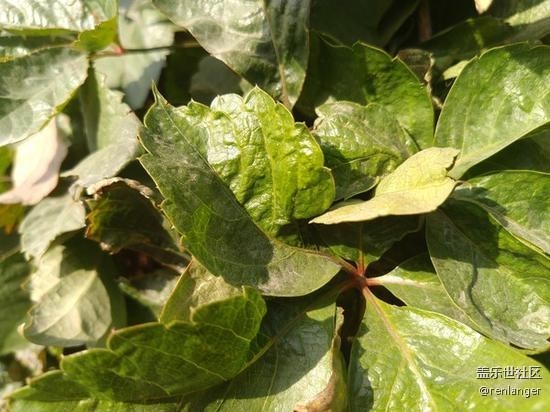 三星Galaxy A6s評測 年輕人的全新選擇 三星Galaxy A6s評測 年輕人的全新選擇