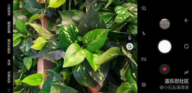 這么拍更好看 Galaxy A9s場景優(yōu)化器了解一下