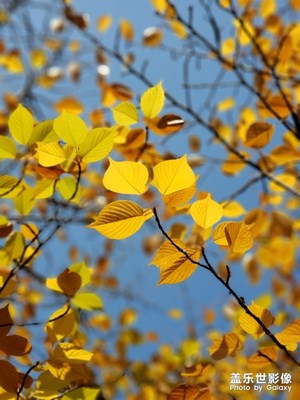 在我的眼里逆光的世界。