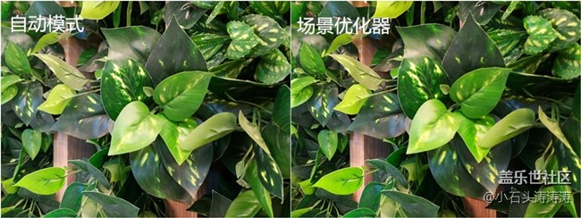 這么拍更好看 Galaxy A9s場景優(yōu)化器了解一下