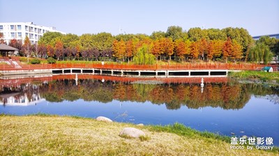 【午后陽(yáng)光】