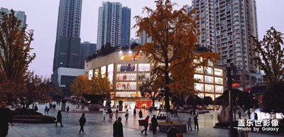 天微涼，杏漸黃； 夜色暗，回家忙