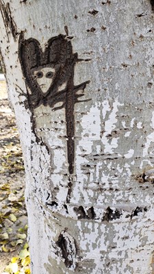 【百變天氣】+閑時雜拍