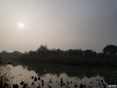 【百變天氣】+霧氣朦朧