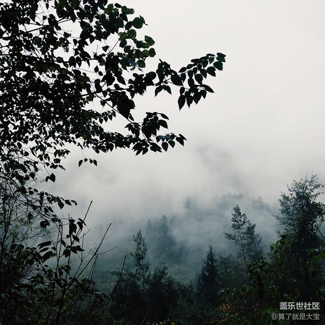 【A9s 一機走天下】重慶武隆仙女山品鑒之旅