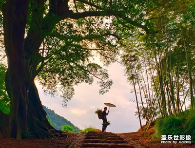 【為中國添色】+ 七彩霞浦