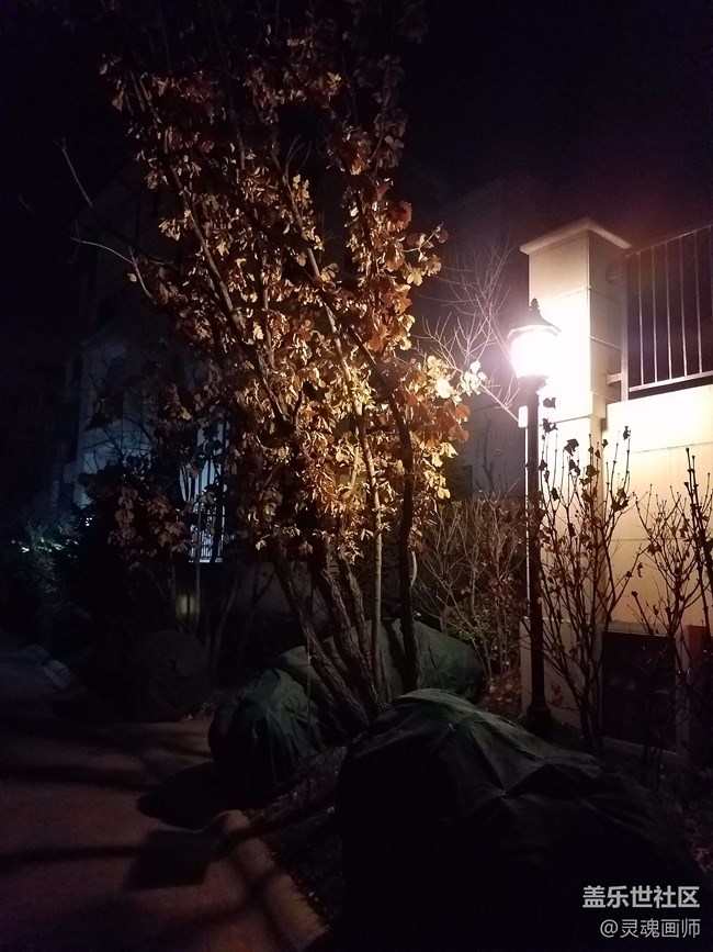 三星s7edge安卓6.0夜拍圖片