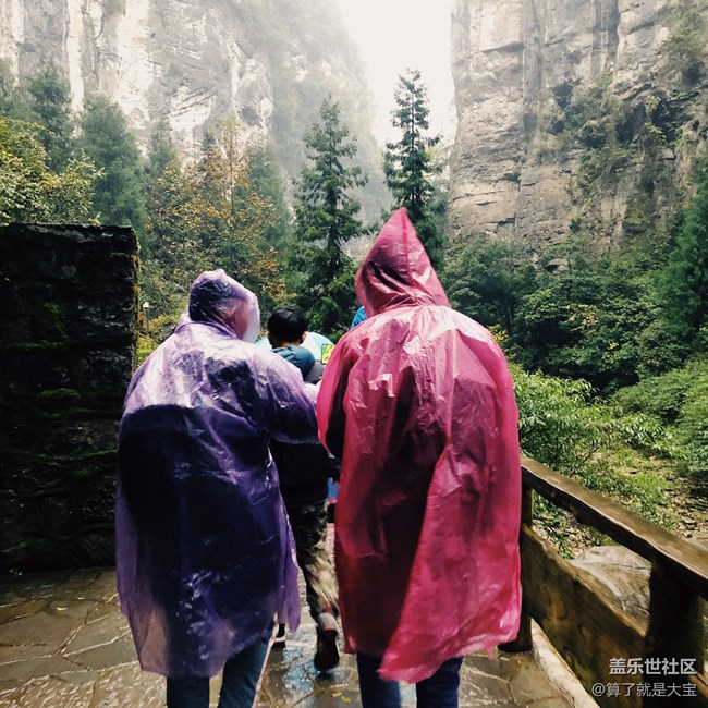 【A9s 一機走天下】重慶武隆仙女山品鑒之旅