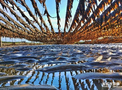 【為中國添色】+ 霞浦-接地氣的生活