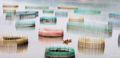 【為中國添色】甲骨文灘涂彩色小圍網(wǎng)