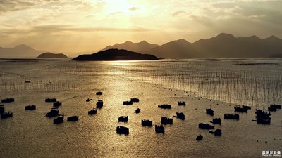 【為中國添色】屏住呼吸，游霞浦......