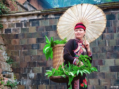 【為中國添色】 半月里畬族文化