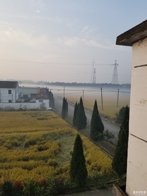 早上剛拍的