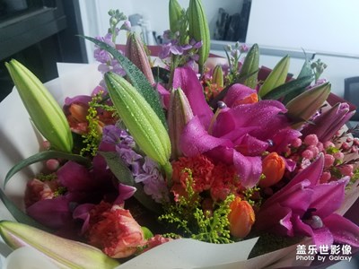 350元值不值？便宜不？