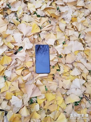 看一下這是什么手機(jī)？