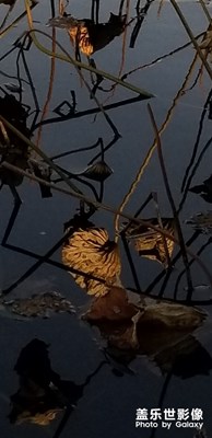 體會(huì)note8的影象,我滿意