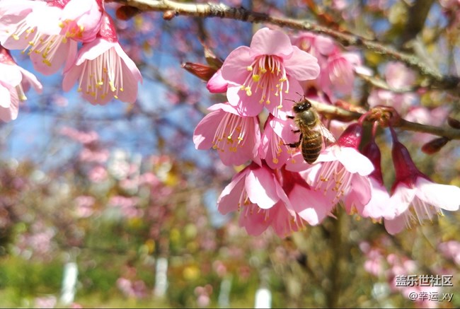 【A6s星粉體驗團(tuán)】三星Galaxy A6s拍照體驗