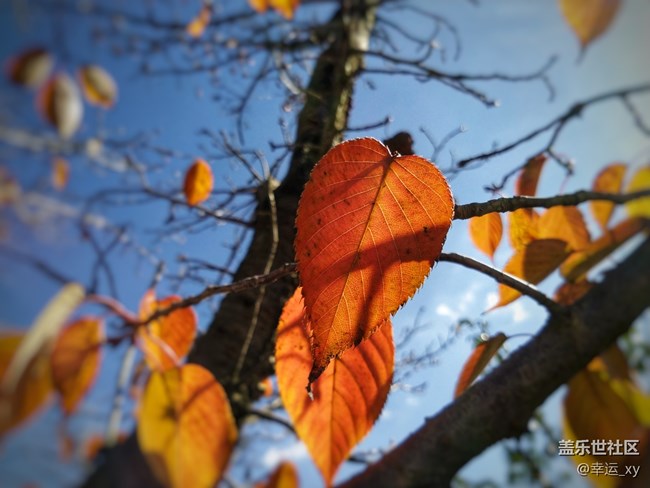 【A6s星粉體驗團(tuán)】三星Galaxy A6s拍照體驗