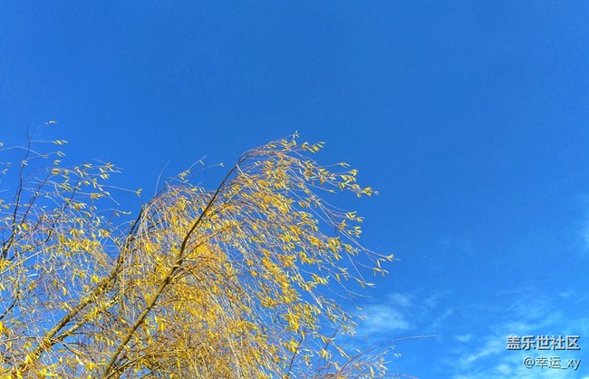 【A6s星粉體驗團(tuán)】三星Galaxy A6s拍照體驗