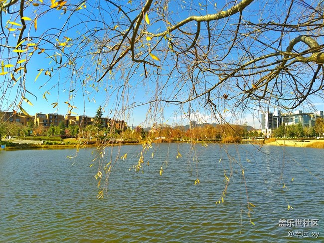 【A6s星粉體驗團(tuán)】三星Galaxy A6s拍照體驗