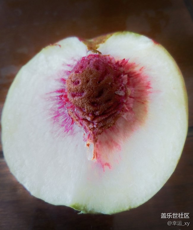 【A6s星粉體驗團(tuán)】三星Galaxy A6s拍照體驗