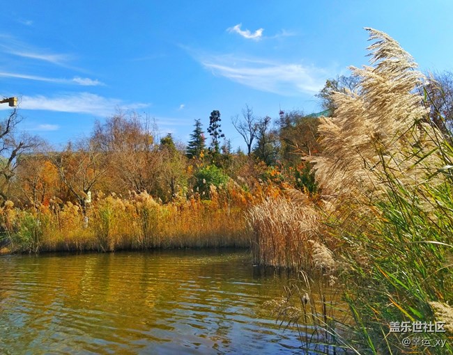 【A6s星粉體驗團(tuán)】三星Galaxy A6s拍照體驗