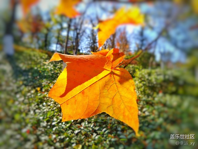 【A6s星粉體驗團(tuán)】三星Galaxy A6s拍照體驗