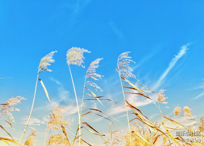 【A6s星粉體驗團(tuán)】三星Galaxy A6s拍照體驗