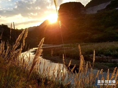 中國色彩-夕陽下的蘆葦