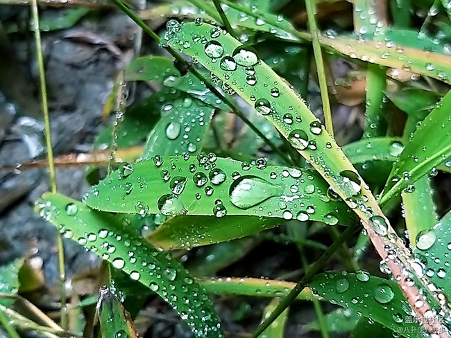 一機走天下 重慶武隆人間仙境大自然的饋贈