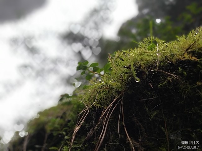 一機走天下 重慶武隆人間仙境大自然的饋贈