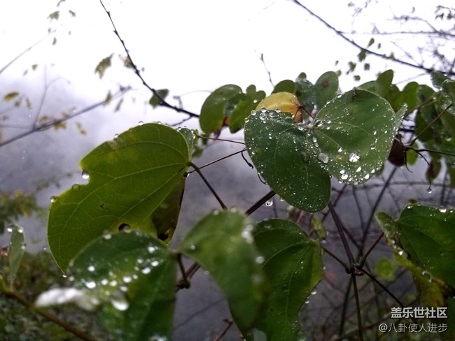 一機走天下 重慶武隆人間仙境大自然的饋贈