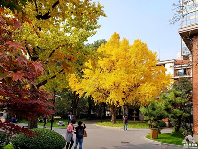 蓋樂世攝影周賽第68期-緯度的色彩