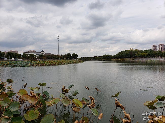 【Galaxy Note版每周話題第五周】鏡頭下的秋冬影像