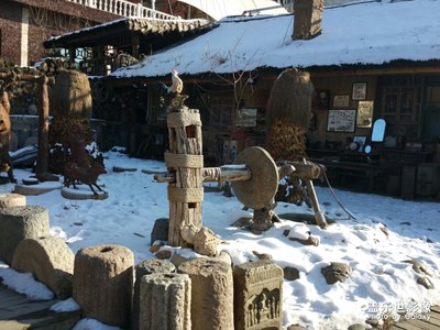 【緯度的色彩】+冬季之點點花白