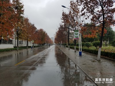 【緯度的色彩】+學(xué)校的冬天