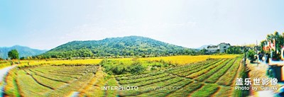 用s9+可以拍出這樣的隨拍照