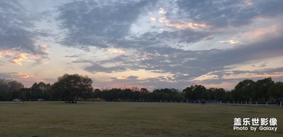 黃金比例分割線