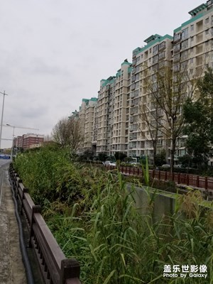 【緯度的色彩】+灰色的天