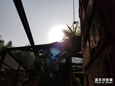 你們是怎么拍出這么好看的照片的啊