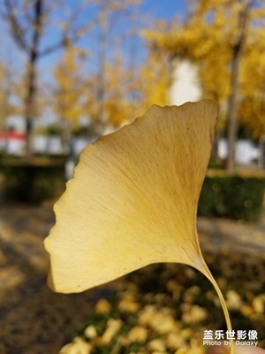 【緯度的色彩】+西安的顏色