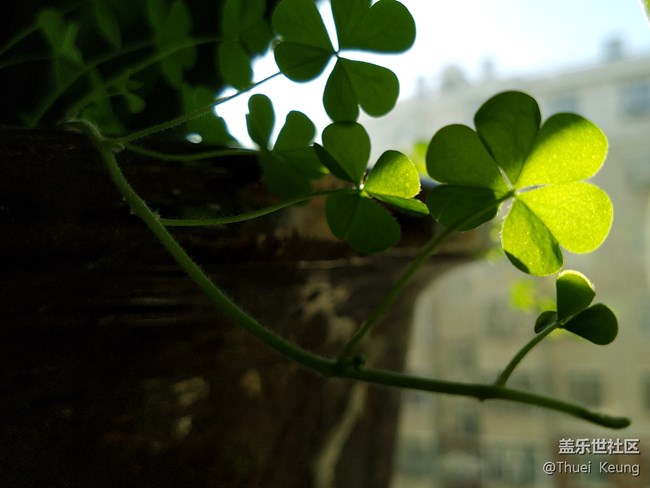 【A6s星粉體驗(yàn)團(tuán)】潮流單品—A6s體驗(yàn) 【A6s星粉體驗(yàn)團(tuán)】潮流單品—A6s體驗(yàn)