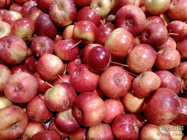 【A6s星粉體驗(yàn)團(tuán)】潮流單品—A6s體驗(yàn) 【A6s星粉體驗(yàn)團(tuán)】潮流單品—A6s體驗(yàn)