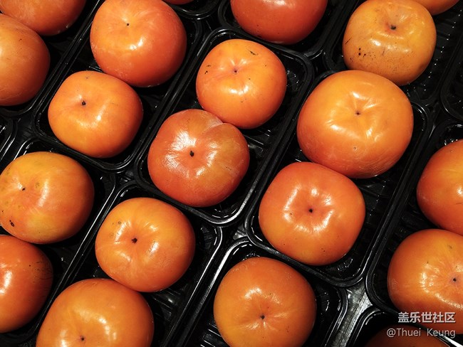 【A6s星粉體驗(yàn)團(tuán)】潮流單品—A6s體驗(yàn) 【A6s星粉體驗(yàn)團(tuán)】潮流單品—A6s體驗(yàn)